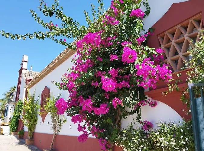 Hébergement de vacances El Altabacar - - Playa Fuengirola